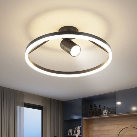 Living Room LED Flush Mount Ring Ceiling Light Fixture