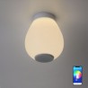 Remote Control Bluetooth Music Speaker Light Bedroom Bar RGB LED Flush Mount Ceiling Light