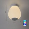 Remote Control Bluetooth Music Speaker Light Bedroom Bar RGB LED Flush Mount Ceiling Light