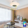 Remote Control Bluetooth Music Speaker Light Bedroom Bar RGB LED Flush Mount Ceiling Light