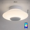 Remote Control Bluetooth Music Speaker Light Bedroom Bar RGB LED Flush Mount Ceiling Light