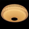 Remote APP Control Bluetooth Music Speaker Lamp 36W RGB LED Flush Mount Ceiling Light Decorative Lamp