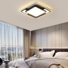 LED Acrylic Flush Mount Ceiling Light Modern Simple Bedroom Living Room Fixture