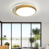 Bedroom Living Room Golden Circular LED Flush Mount Modern Acrylic Ceiling Light