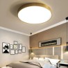 Bedroom Living Room Round LED Flush Mount Modern Golden Acrylic Ceiling Light