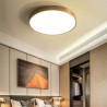 Bedroom Living Room Round LED Flush Mount Modern Golden Acrylic Ceiling Light