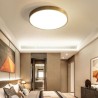 Bedroom Living Room Round LED Flush Mount Modern Golden Acrylic Ceiling Light