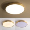 Bedroom Living Room Round LED Flush Mount Modern Golden Acrylic Ceiling Light