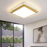 Living Room Bedroom Golden Square LED Flush Mount Modern Simple Ceiling Light