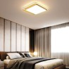 Living Room Bedroom Golden Square LED Flush Mount Modern Simple Ceiling Light