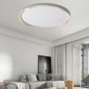 LED Minimalist Circular Ceiling Light Living Room Hallway Flush Mount