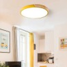 Bedroom Living Room Study Room Lamp Modern LED Flush Mount Log Acrylic Ceiling Light Ultra Thin Lamp