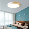 Bedroom Living Room Study Room Lamp Modern LED Flush Mount Log Acrylic Ceiling Light Ultra Thin Lamp