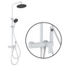 Combination Rainfall Shower Head/Handheld Shower