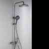 Combination Rainfall Shower Head/Handheld Shower