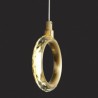 Acrylic Ring Light Fixture with LED Pendant Light