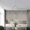 Minimalist Decorative LED Pendant Light Fixture