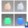 Remote Control Bluetooth Music Speaker Light Bedroom Bar RGB LED Pendant Light