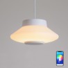 RGB LED Pendant Light Remote APP Control Bluetooth Music Speaker Light Bedroom Bar