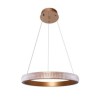 Minimalist Acrylic Light Fixture Living Room Study Room LED Ring Pendant Lamp