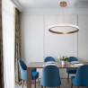 Minimalist Acrylic Light Fixture Living Room Study Room LED Ring Pendant Lamp