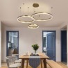 Acrylic Ring Shape Pendant Light Restaurant Living Room Postmodern LED Pendant Light