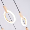 Acrylic Ring Lamp Modern Simple LED Pendant Light