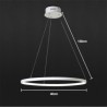 40cm Modern LED Pendant Light Acrylic Ring Lamp