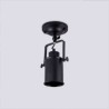 1-light Industrial Retro Style Stoving Varnish Long Picture Spot Light