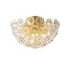 Semi-circular glass flush mount modern decorative flower shaped ceiling light for bedroom living room