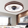 Ceiling Light Fan Lamp Modern Inverter Ceiling Fan With Light Remote Control