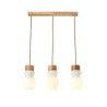 Hanging Glass Pendant Light with Creative Personality