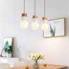 Hanging Glass Pendant Light with Creative Personality