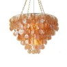 Brown Black Natural Shell Chandelier Round Layered Hanging Light