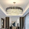 Contemporary Ceiling Light Fixtures for Living Room Dining Room with Crystal Pendant Light