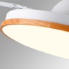 Dimmable Modern LED Inverter Ceiling Fan Light Remote Control Ceiling Lamp Tricolor