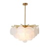 Modern 6-Light Glass Shaped Hanging Light Pendant Light