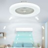 Remote Controlled LED Fan Ceiling Light Trichromatic Dimming