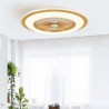 3 Speeds LED Ceiling Fan Thin Trichromatic Dimming Light Remote Control