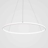 60cm/80cm Modern LED Pendant Light Circle Lamp