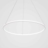 60cm/80cm Modern LED Pendant Light Circle Lamp