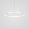 60cm/80cm Modern LED Pendant Light Circle Lamp