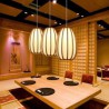 Bamboo Pendant Light for Visual Comfort