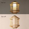 Bamboo Cage Pendant Light for Visual Comfort