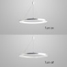 LED Pendant Light Acrylic Silver Circle Lamp 30cm