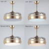 Exquisite Decoration Light with Remote Control Modern Ceiling Fan Light Mute Fan Light