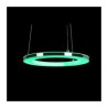 30cm Modern LED Pendant Light Circle RGB Lamp