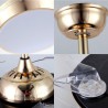 Exquisite Decoration Light with Remote Control Modern Ceiling Fan Light Mute Fan Light