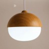 4 Designs Dining Room Living Room Bedroom Lighting DIY Light Modern Simple Fashion Metal Glass Pendant Light (Forest Night)