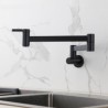 Foldable Wall Mounted Kitchen Sink Faucet Pot Filler Cold Tap